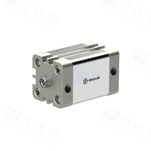 ��RIEGLER���15.DMI.12005