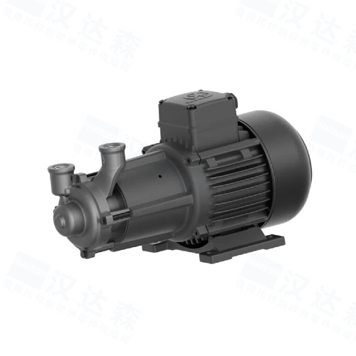��BRINKMANN PUMPS�x�ı�BMK